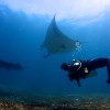 Scientific diving training
