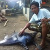 A fisherman in Bangka Bangka, West Lombok displays a mobula ray landed that morning