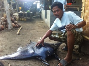 mobula and manta fisheries of west Lombok