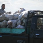 Another truck load!
