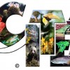 CITES helps regulate international trade in threatened species