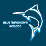 blue marlin komodo
