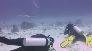 Danmo and Niomi prepare to take a manta ID
