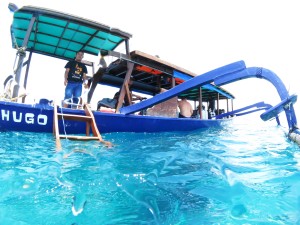 Blue Marlin's dive boat Hugo