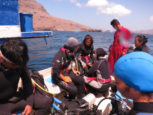 Preparing for a manta survey