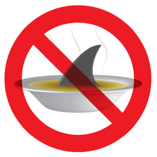 The shark fin industry – where does revolution begin?