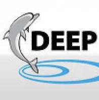 DEEP Indonesia 2011