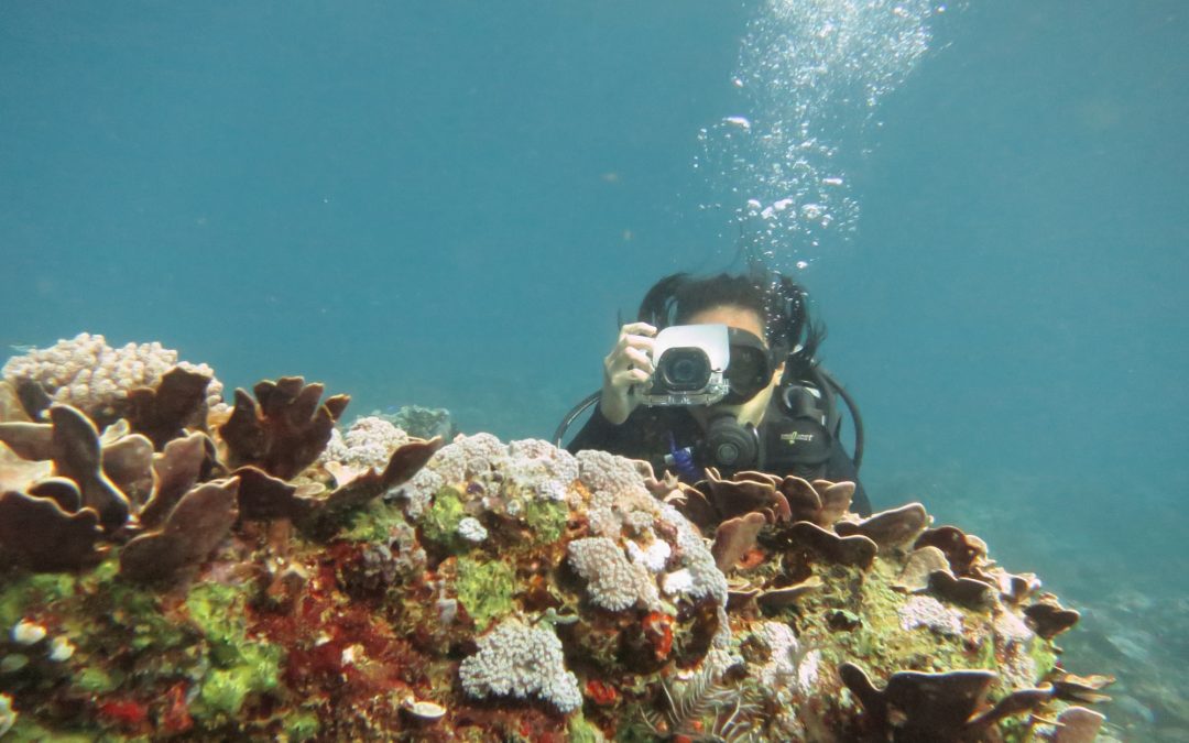 Intern’s Diary: Anindita’s First Impressions