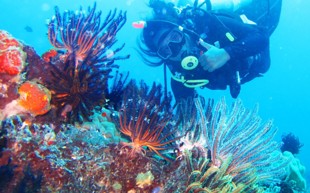 Where are they now? Ranny Yuneni