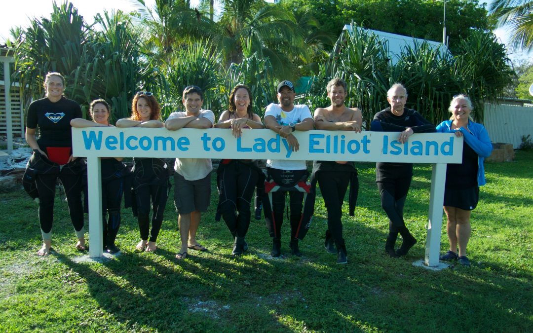 Project Manta and Australia’s manta rays