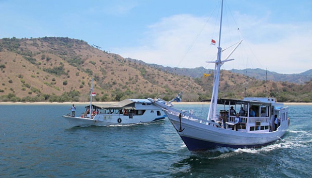 Komodo Island Create Shark, Manta Ray Sanctuary