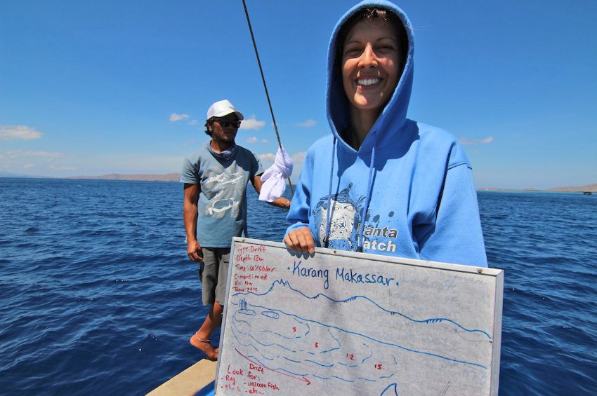 Tauchen in Indonesien: Manta, Manta