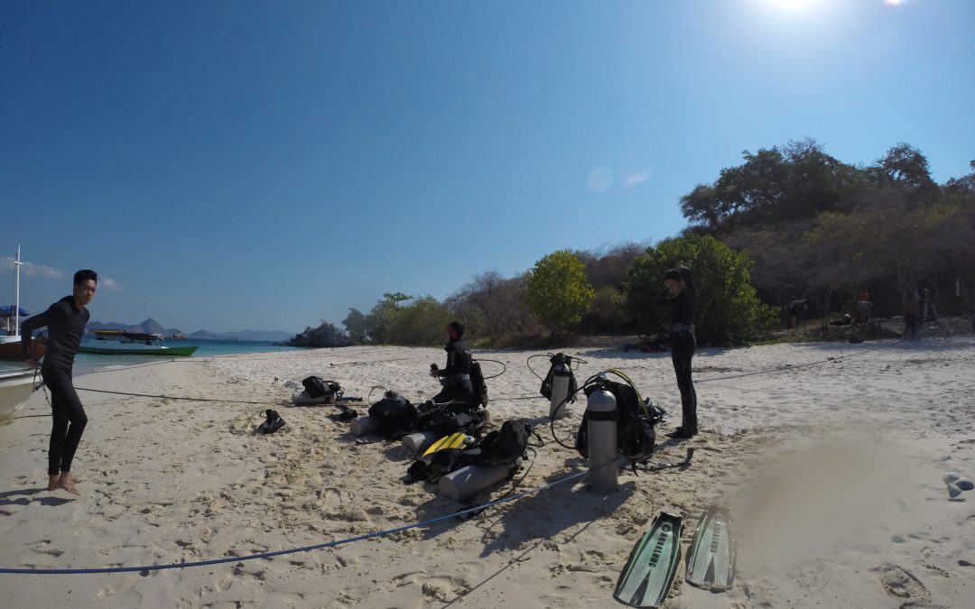 Day 3: Getting into our camera underwater