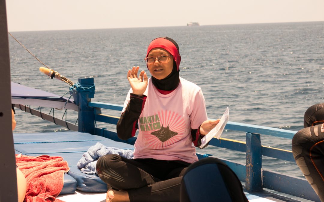 Day 17: Rays in North Komodo