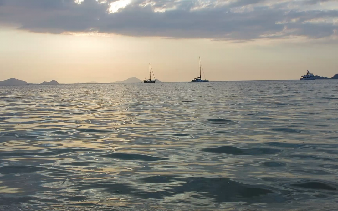 Day 21: Souvenirs and Cuisine