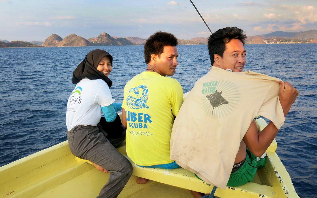 Day 20: Three Teams, Three Surveys