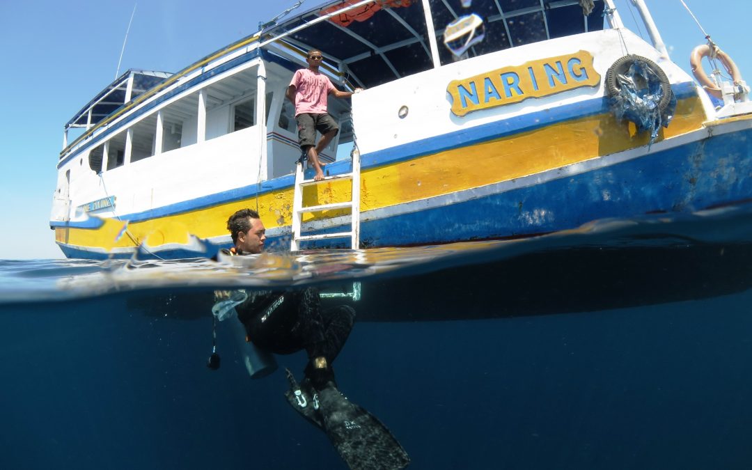 Day 16: Together, Better and Better