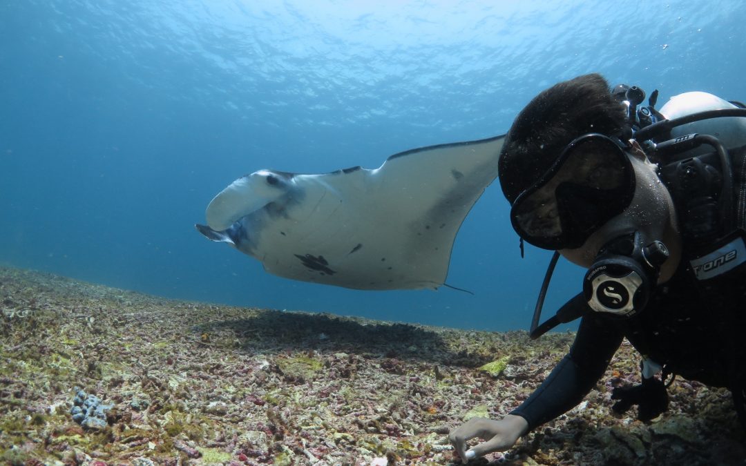 Day 22 : Everyone do their best!