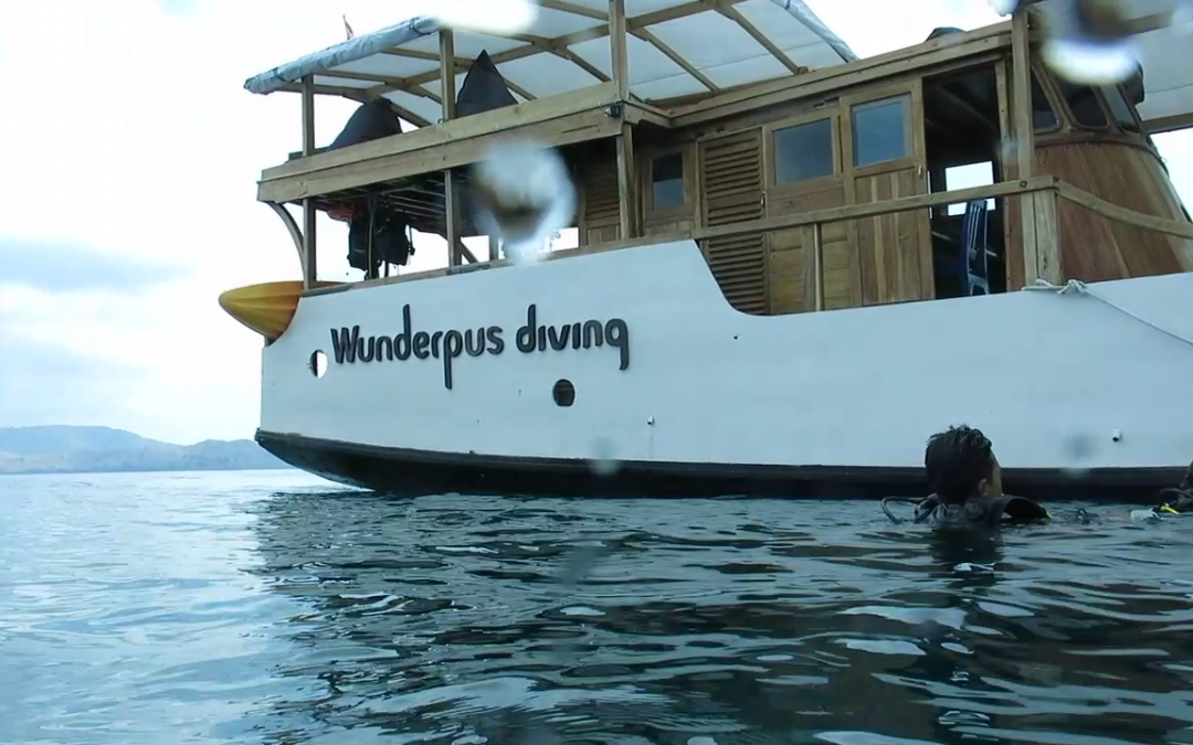 Day 12: Meeting the Mantas Again!