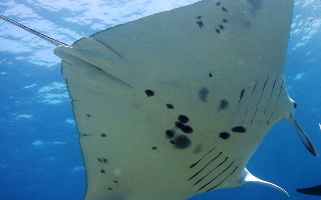 Day 13: On Shore Again to Review Personal Development Goals