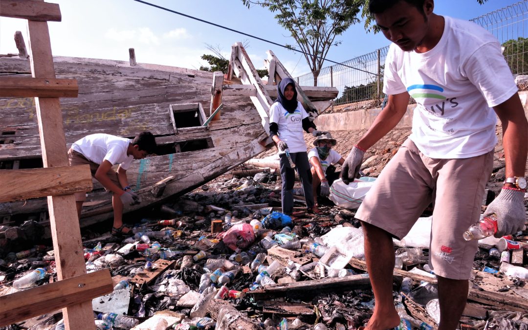Day 5: Inducing a Clean Virus in Labuan Bajo