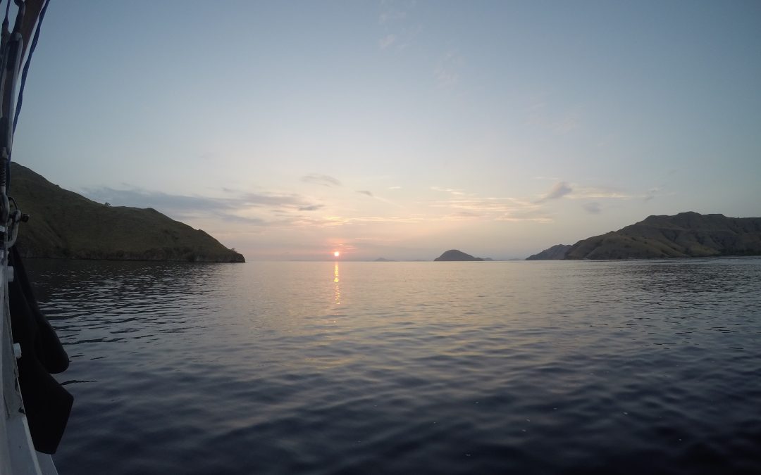 Day 11: Reef Sharks but no Mantas in Komodo