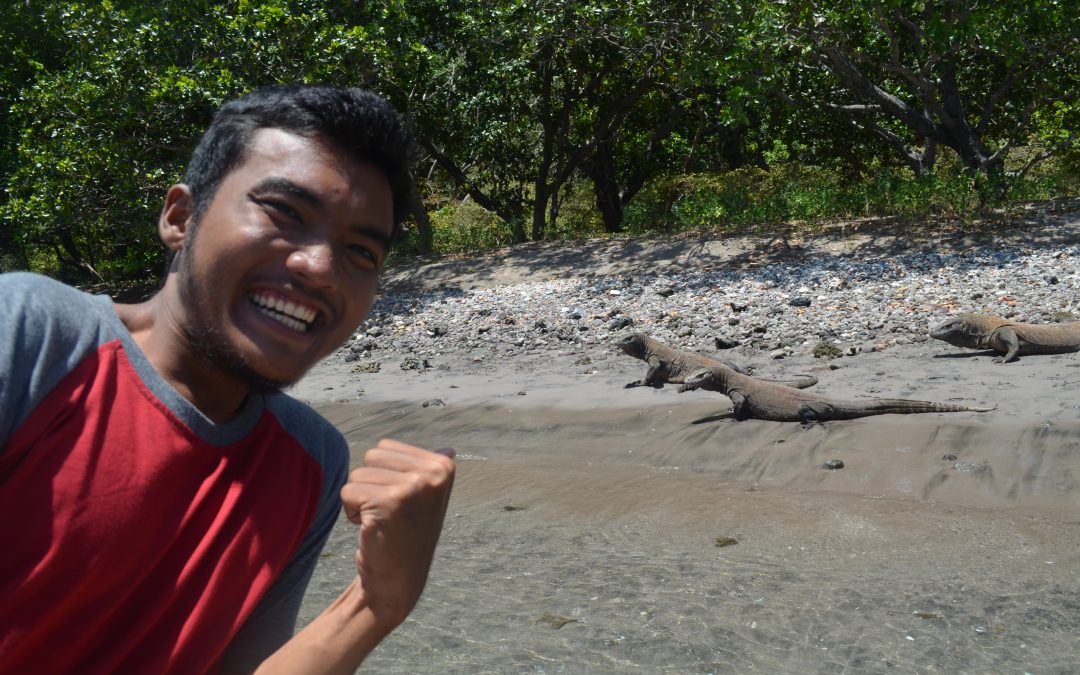 Day 20: Mantas and Dragons