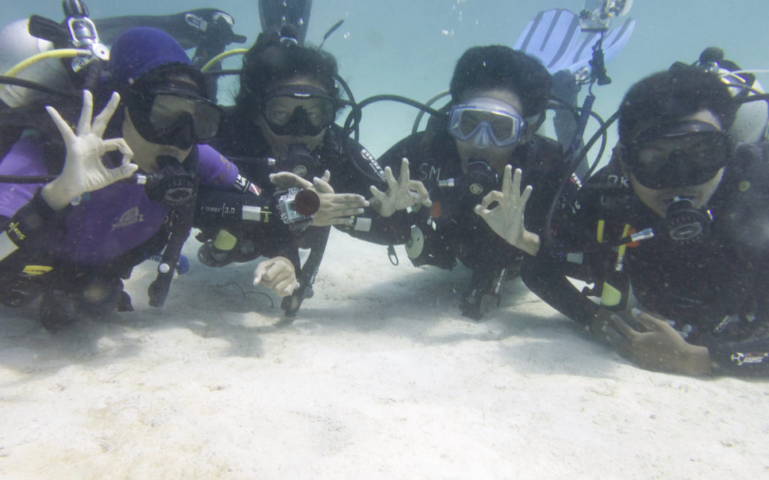 Day 21: Visiting the Turtle Kingdom