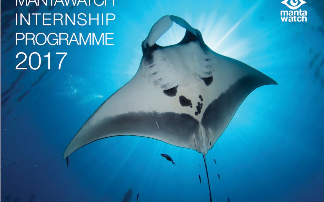 Meet the 2017 MantaWatch Interns