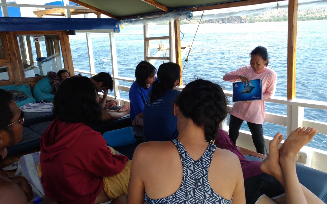 Day 9: Practice Makes Perfect!