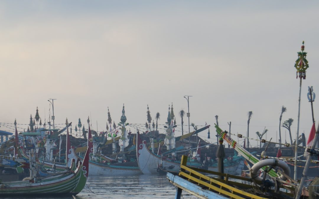 First impressions of Muncar fisheries