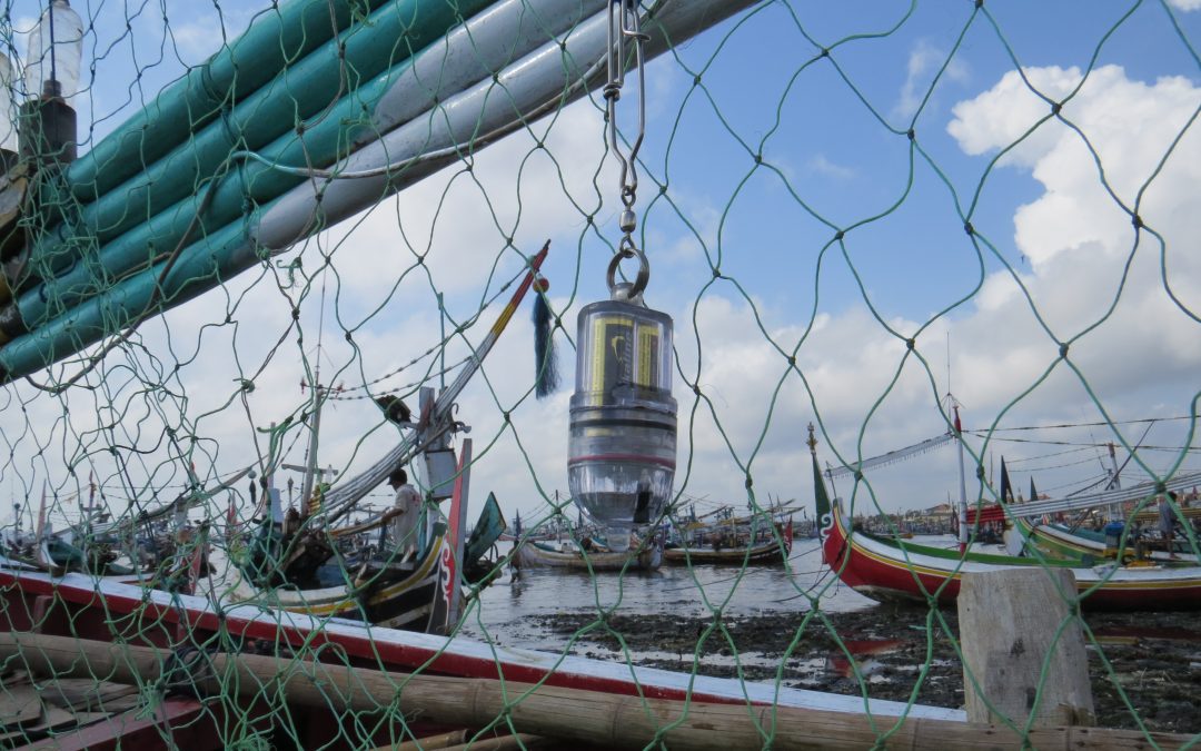 The Light That Brings Hope