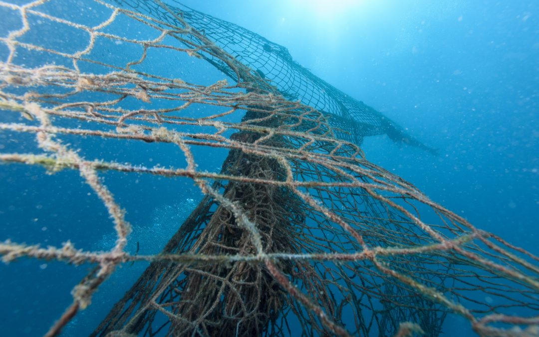Ghost Fishing: an ecological and socio-economic challenge