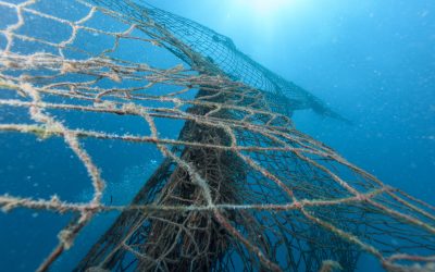 Ghost Fishing: an ecological and socio-economic challenge
