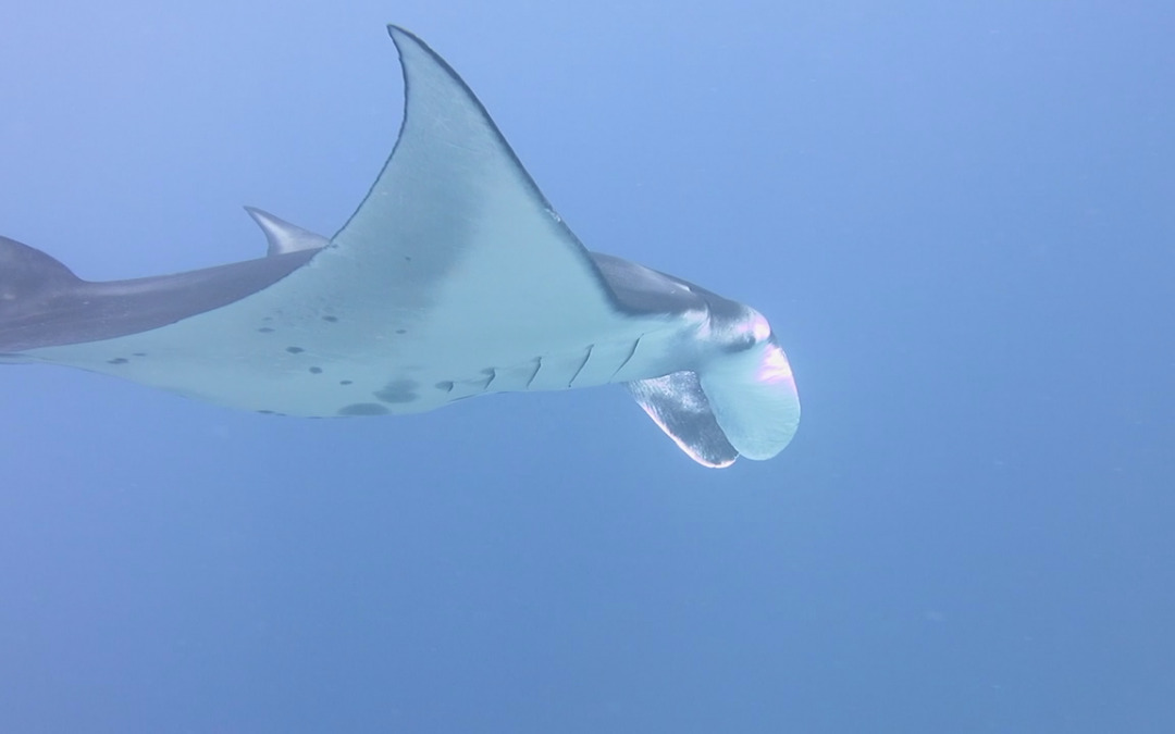 Day 9: Right Place at the Right Time