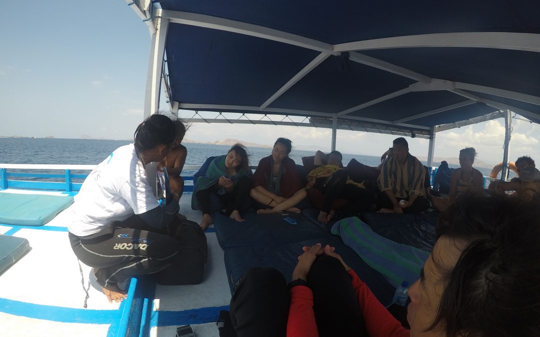 Day 17: Preparing to Inspire Local Conservation Champions