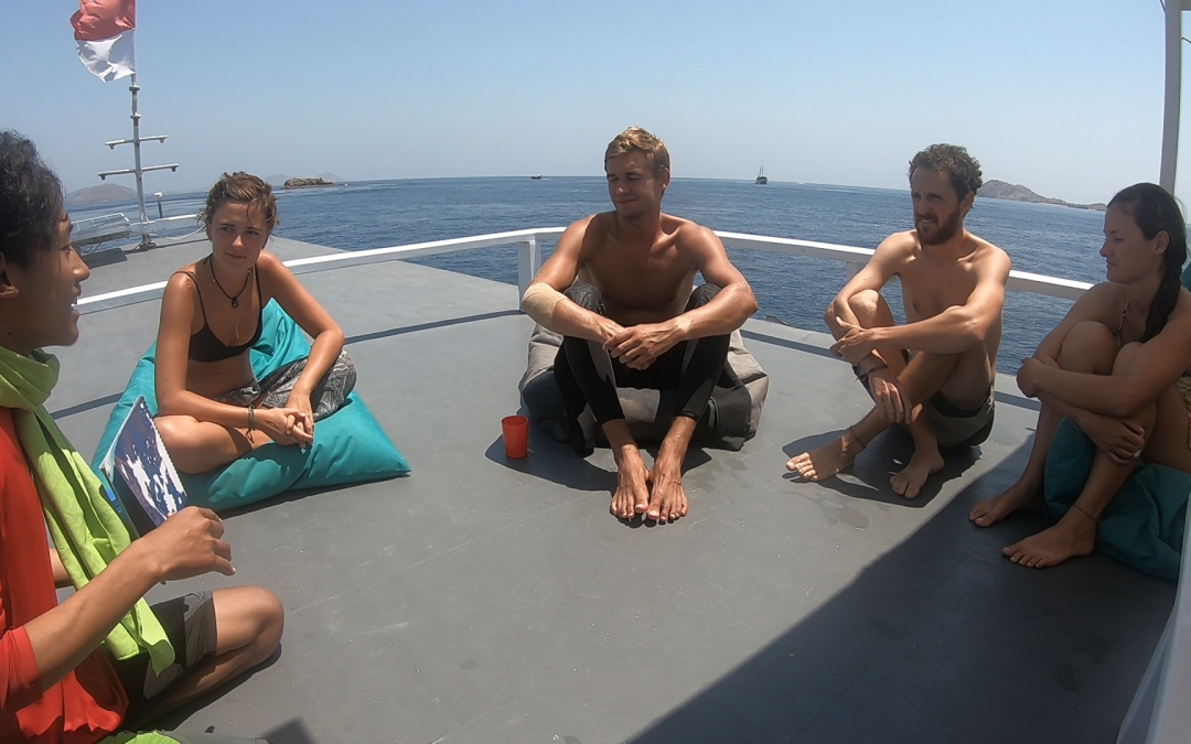 Day 16: Demand-driven research and conservation champions