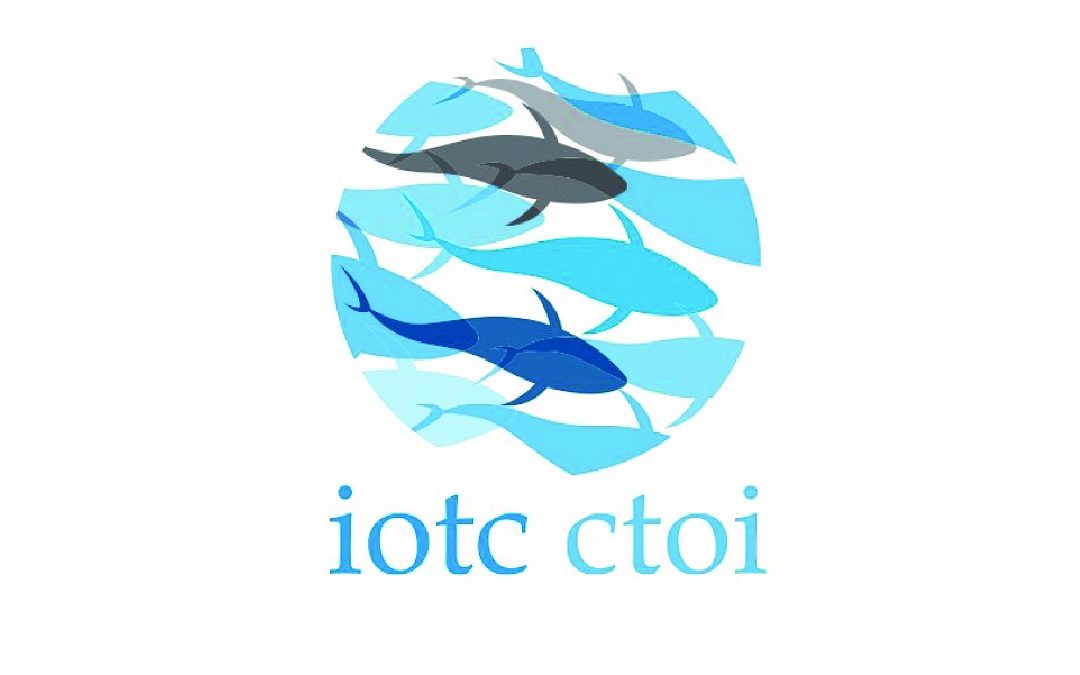 Strengthening Mobulid Conservation and Management in Indian Ocean Fisheries