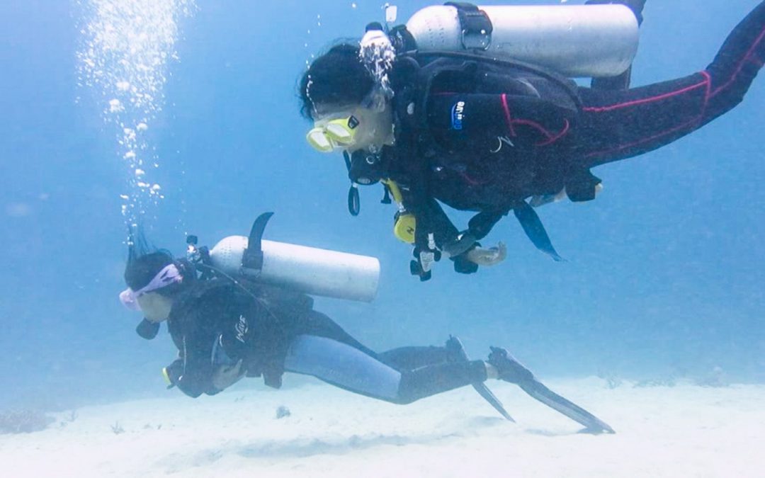 Day 5: Diving and Equalising