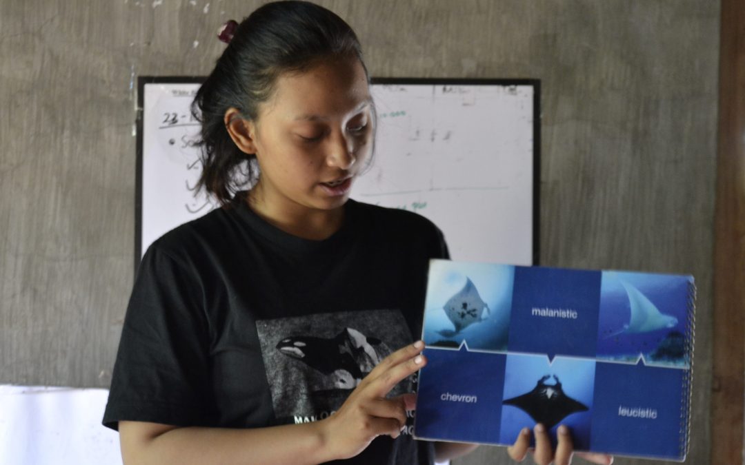 Day 2: Getting To Know Manta Rays