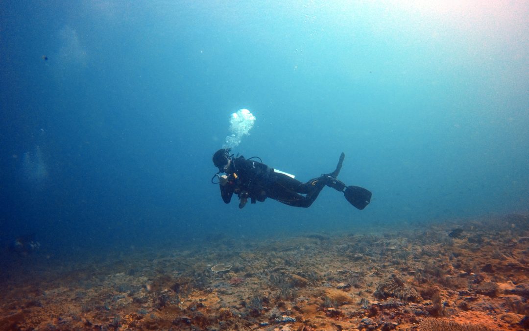 Day 8: No Manta No Cry