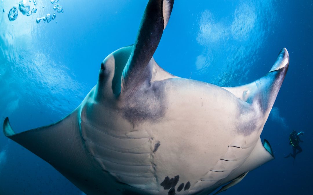 Day 11: Never Give Up